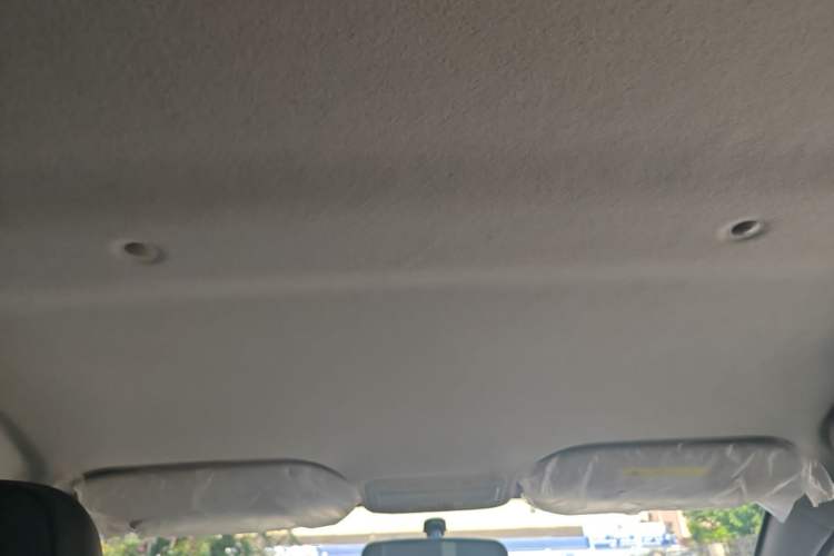 Used SOL E10X 2022 Flower Fairy Style Baby's Breath Headliner