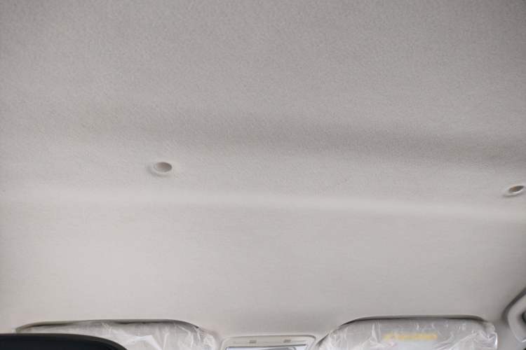 Used SOL E10X 2022 Flower Fairy Style Baby's Breath Headliner