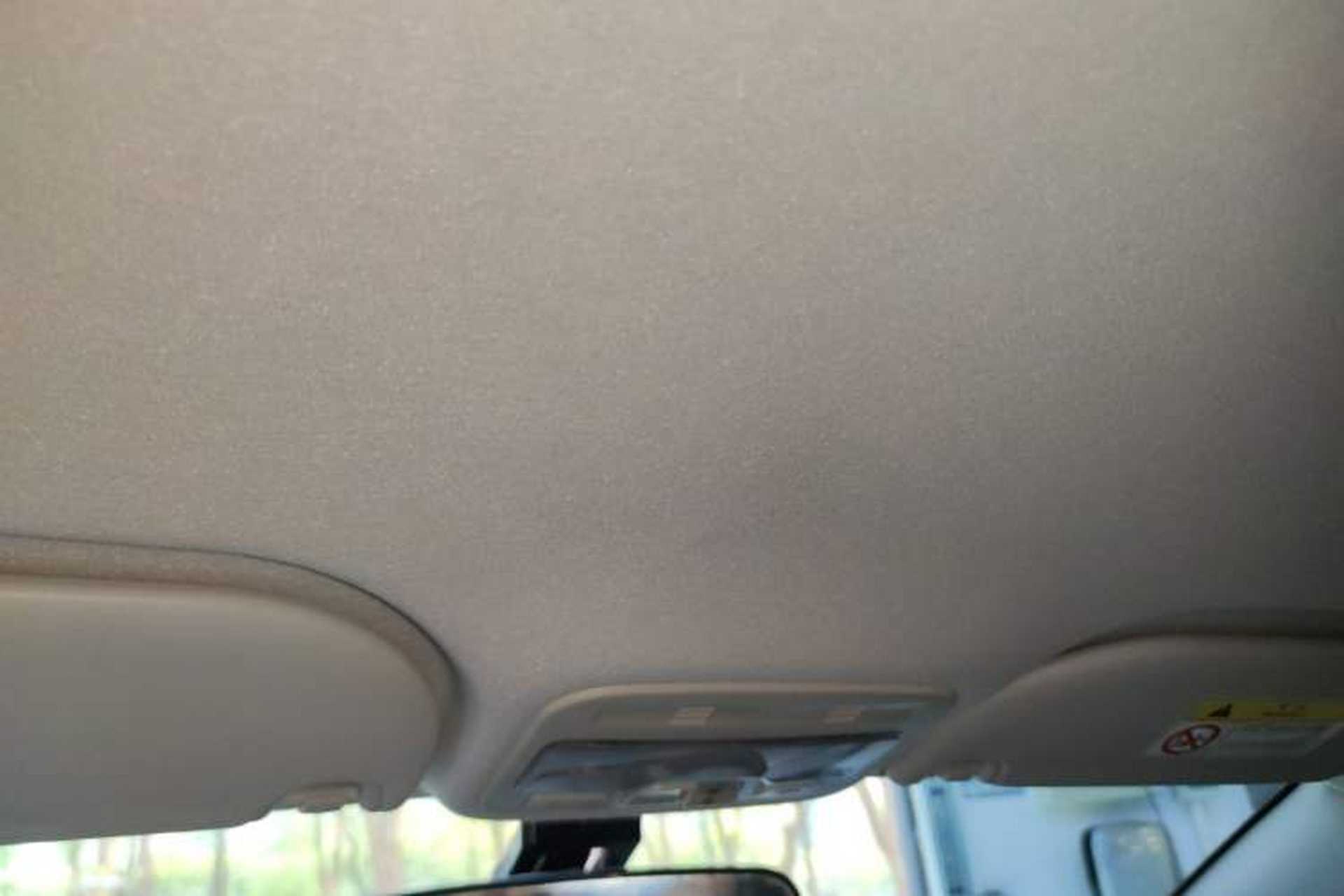 Used SOL E10X 2022 Flower Fairy Design Four-Leaf Clover Headliner