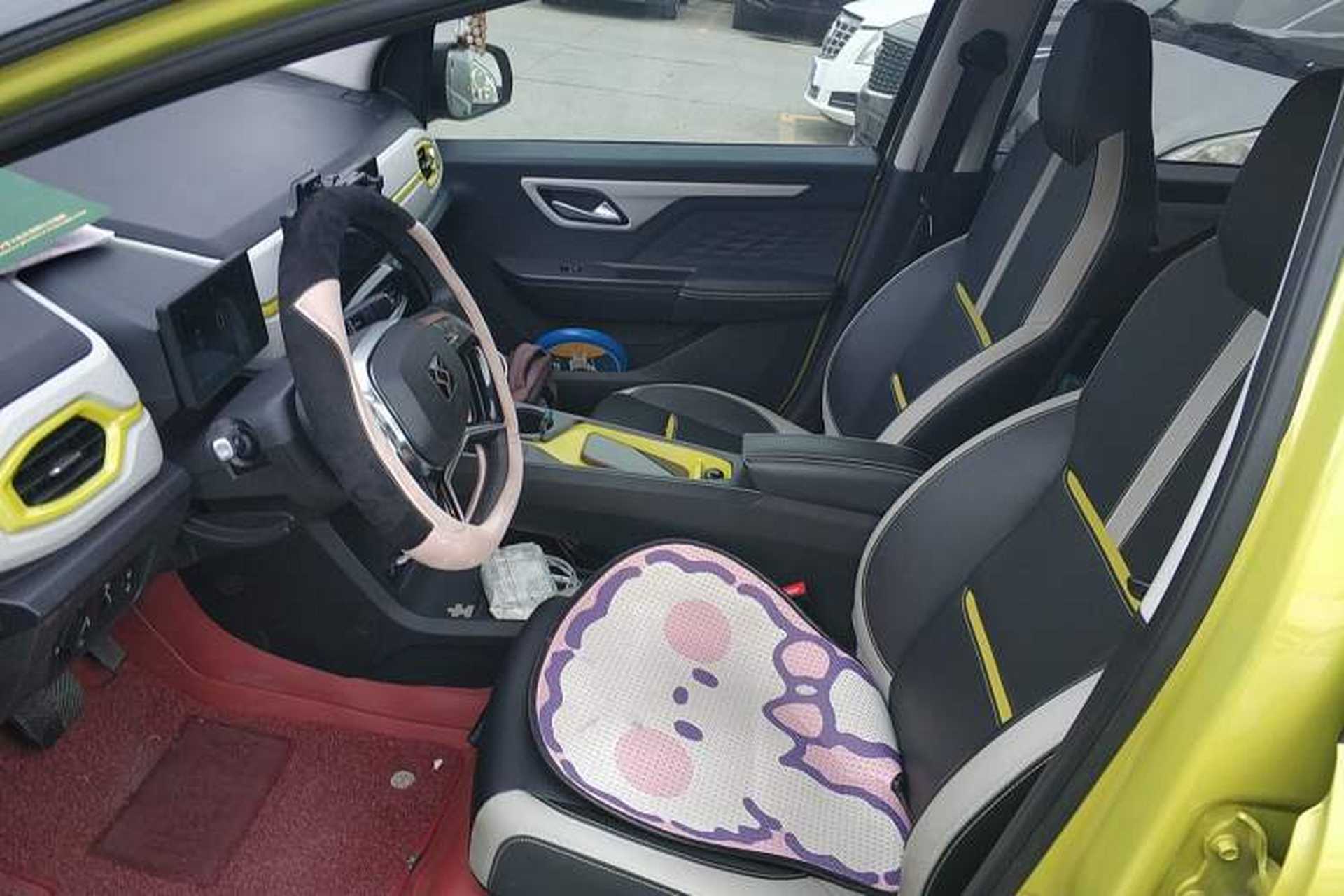 Used SOL E10X 2022 Flower Fairy Style Baby's Breath Left Front Seat