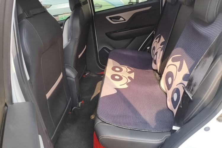 Used SOL E10X 2022 Flower Fairy Design Four-Leaf Clover Left Rear Seat