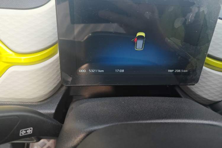 Used SOL E10X 2022 Flower Fairy Style Baby's Breath Odometer Close Up