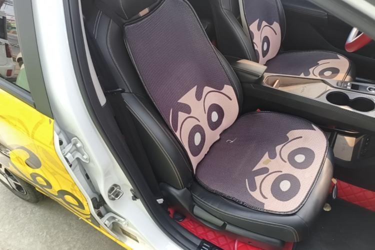 Used SOL E10X 2022 Flower Fairy Design Four-Leaf Clover Right Front Seat