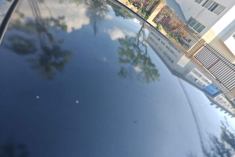 Used SOL E10X 2022 Flower Fairy Style Baby's Breath Roof