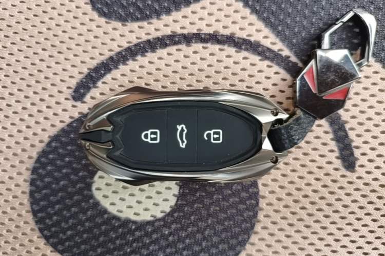 Used SOL E10X 2022 Flower Fairy Design Four-Leaf Clover Vehicle Key