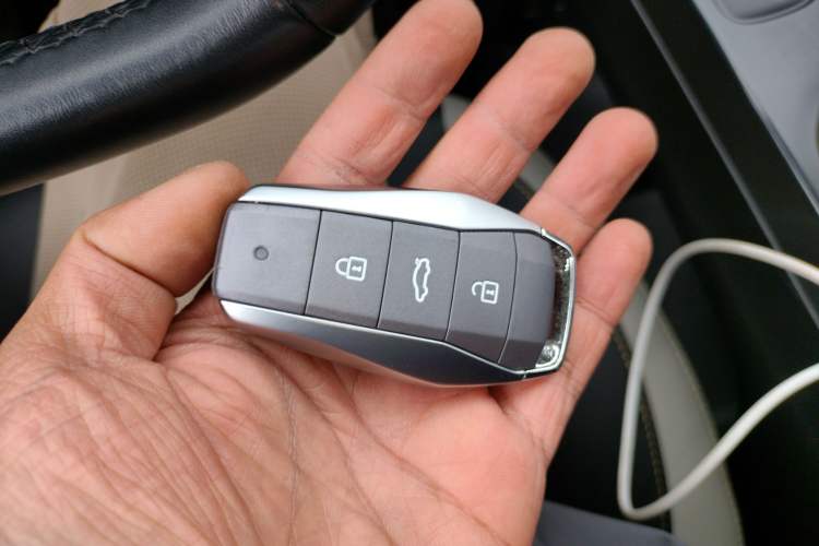 Used SOL E10X 2022 Flower Fairy Style Baby's Breath Vehicle Key