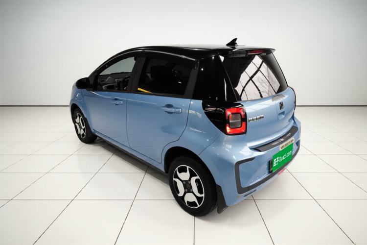 Used SOL E10X 2023 Anniversary Edition 301km Starry Sky 45kW Exterior 2