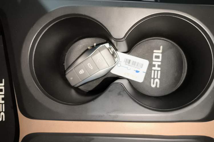 Used SOL E10X 2023 Anniversary Edition 301km Starry Sky 45kW Interior 1
