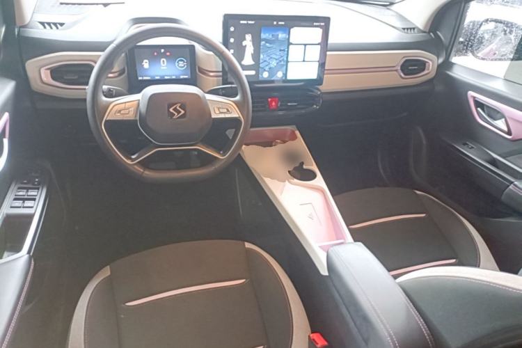 Used SOL E10X 2023 Anniversary Edition 301km Starry Sky 45kW Center Console