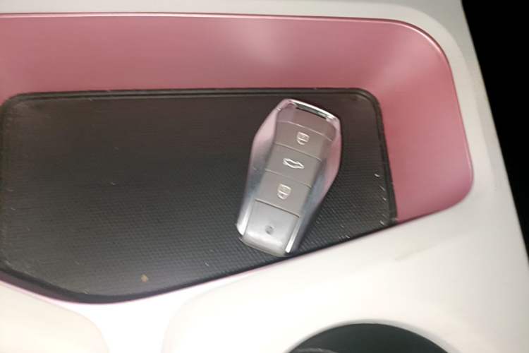 Used SOL E10X 2023 Anniversary Edition 301km Starry Sky 45kW Vehicle Key