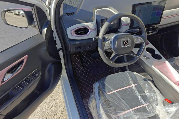 Used SOL E10X 2023 Anniversary Edition 301km Starry Sky 45kW Driver Seat