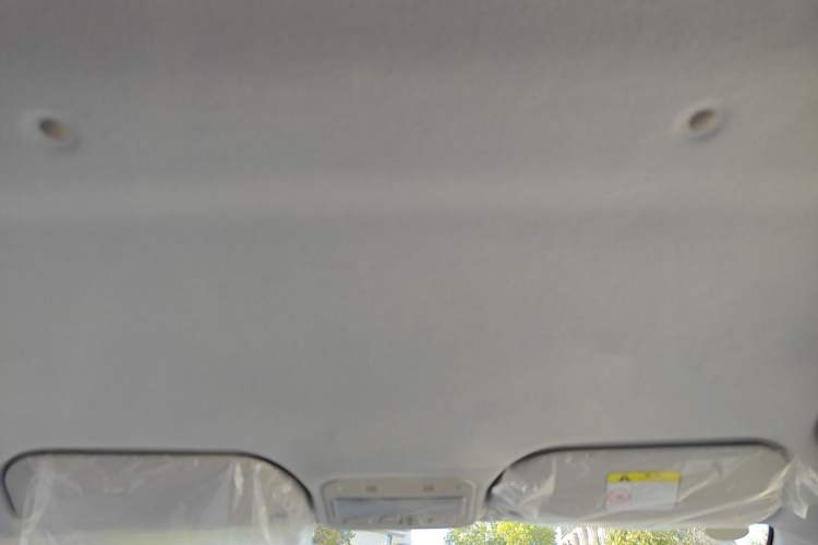 Used SOL E10X 2023 Anniversary Edition 301km Starry Sky 45kW Headliner