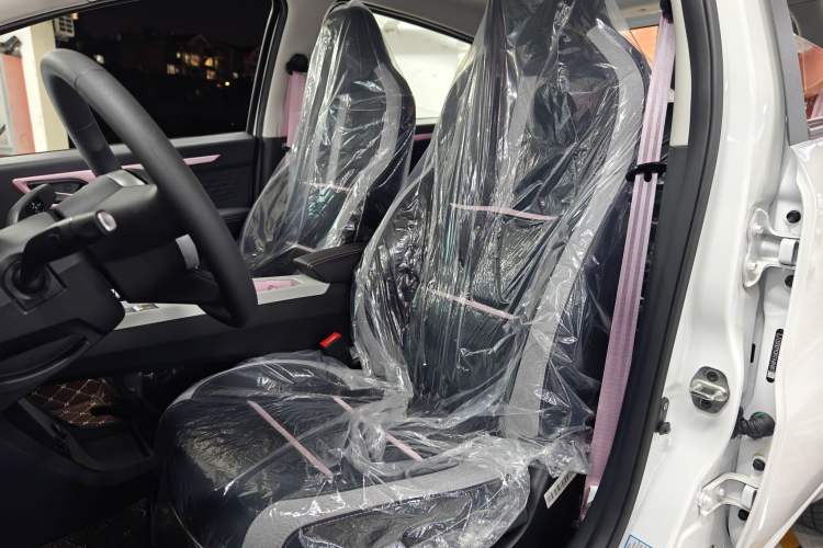 Used SOL E10X 2023 Anniversary Edition 301km Starry Sky 45kW Left Front Seat