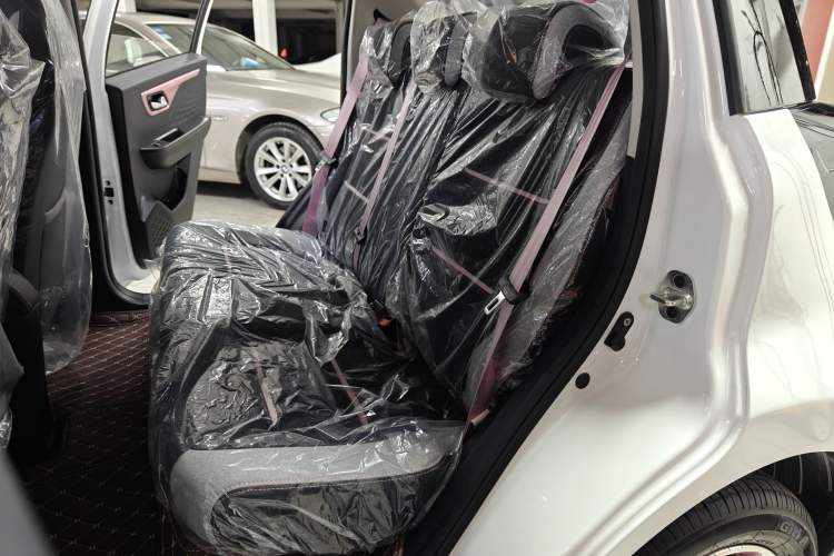 Used SOL E10X 2023 Anniversary Edition 301km Starry Sky 45kW Left Rear Seat