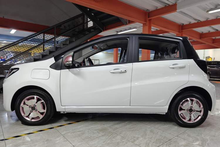 Used SOL E10X 2023 Anniversary Edition 301km Starry Sky 45kW Left Side