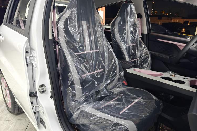 Used SOL E10X 2023 Anniversary Edition 301km Starry Sky 45kW Right Front Seat
