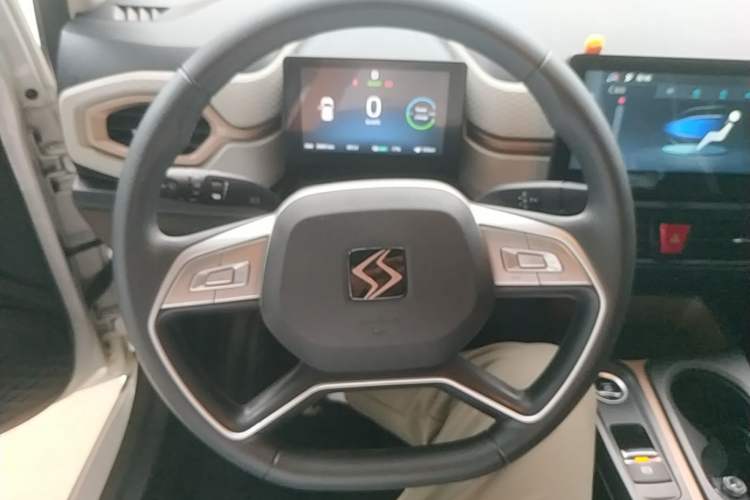 Used SOL E10X 2023 251 km Cloverleaf 36 kW Steering Wheel