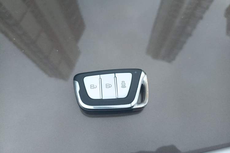 Used SOL E20X 2020 Extraordinary Edition Vehicle Key