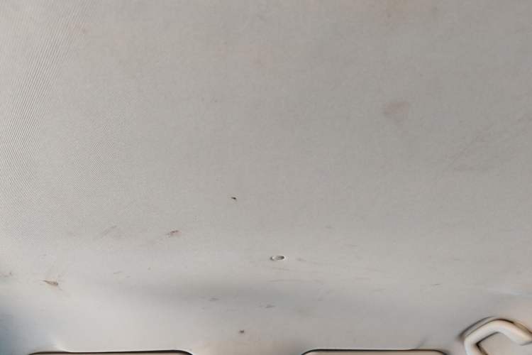Used SOL E20X 2020 Heartbeat Edition Headliner
