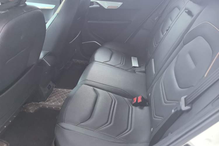 Used SOL E20X 2020 Heartbeat Edition Interior 1