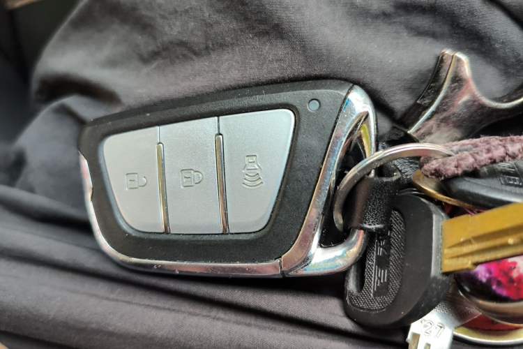 Used SOL E20X 2020 Extraordinary Edition Vehicle Key