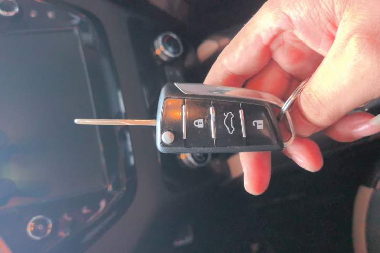Used SOL E20X 2020 Heartbeat Edition Vehicle Key