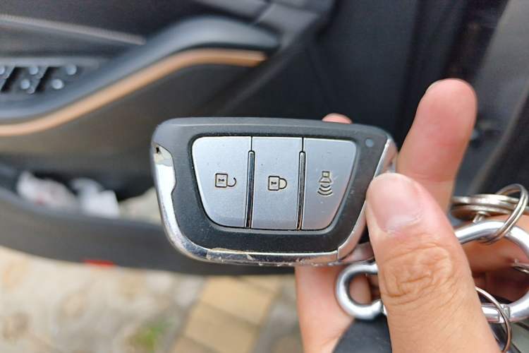 Used SOL E40X 2021 Golden Armor Edition Vehicle Key