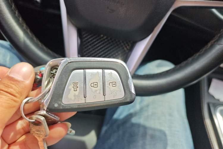 Used SOL E40X 2021 Golden Armor Edition Vehicle Key
