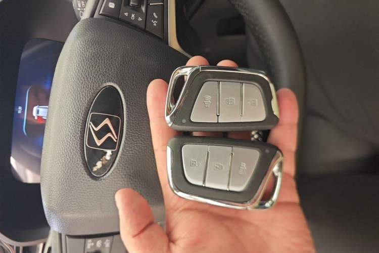 Used SOL E40X 2021 Golden Armor Edition Vehicle Key