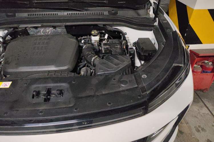 Used SOL QX 2021 300T DCT Prestige Smart Connectivity Version Engine Bay Left
