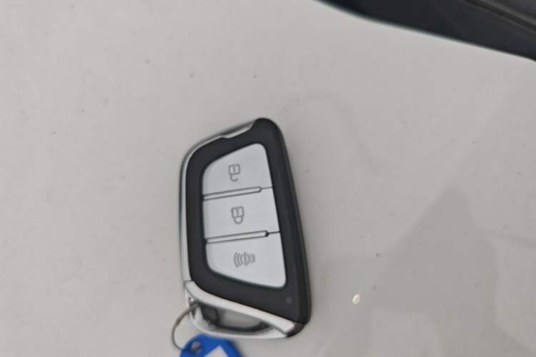 Used SOL X4 2021 1.5T CVT Chief Edition Interior 1