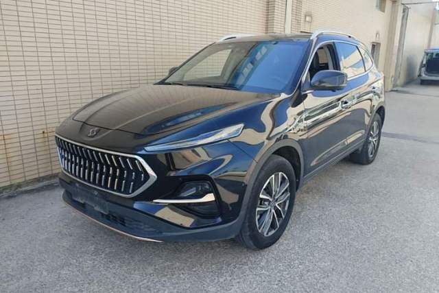 Used SOL X7 2021 1.5T Flagship Edition