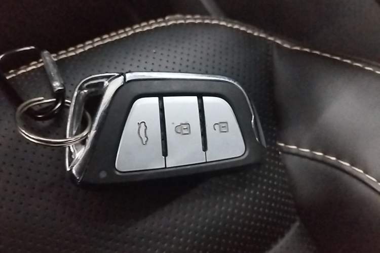 Used SOL X7 2021 1.5T Flagship Edition Vehicle Key