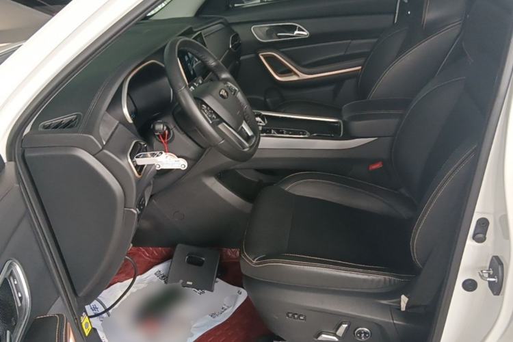 Used SOL X7 2021 1.5T Flagship Edition Left Front Seat
