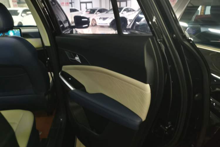 Used SOL X8 2021 300T DCT Leading Smart Connectivity Version 7 Seats Right Rear Door Interior