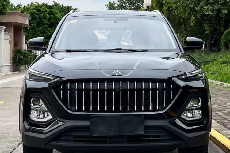 Used SOL X8 2021 300T Manual Panoramic Luxury Edition 5 Seats Exterior 5