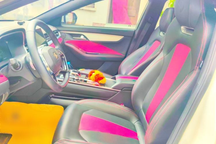 Used SOL Yao 2021 1.5TGDI DCT Chuanyun RACE Edition Left Front Seat