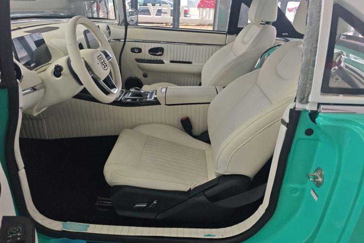 Used SONGSAN MOTORS SS DOLPHIN 2021 1.5T Plug-in Hybrid Standard Edition Left Front Seat