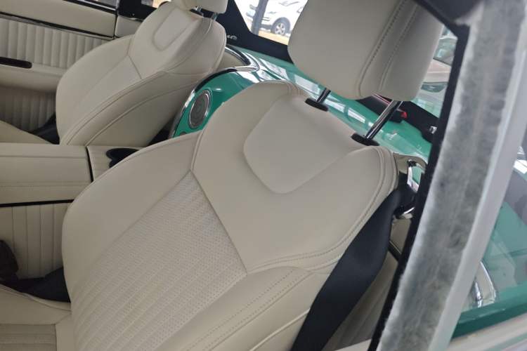 Used SONGSAN MOTORS SS DOLPHIN 2021 1.5T Plug-in Hybrid Standard Edition Left Rear Seat