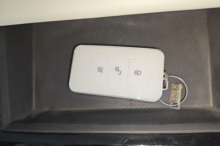 Used SONGSAN MOTORS SS DOLPHIN 2021 1.5T Plug-in Hybrid Standard Edition Interior 1