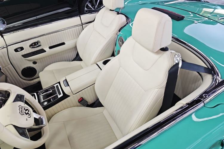 Used SONGSAN MOTORS SS DOLPHIN 2021 1.5T Plug-in Hybrid Standard Edition Left Rear Seat