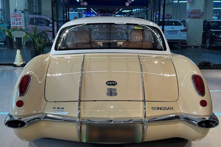 Used SONGSAN MOTORS SS DOLPHIN 2021 1.5T Plug-in Hybrid Standard Edition Exterior 8