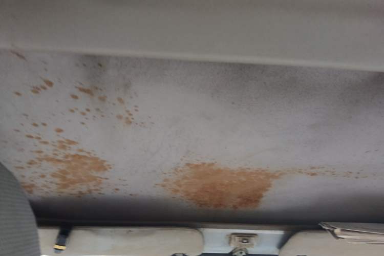 Used Soueast Delica 2008 2.0L Economy Version Headliner