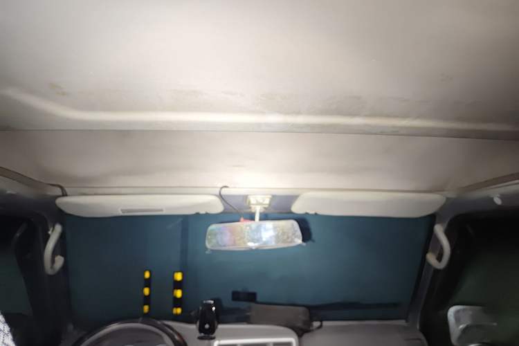 Used Soueast Delica 2014 2.0L Classic Edition Headliner