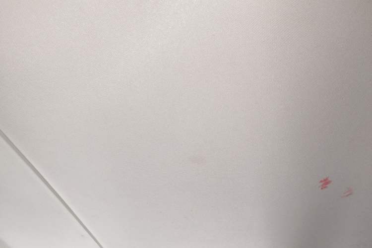 Used Soueast DX3 2016 1.5L Manual Luxury Edition Headliner