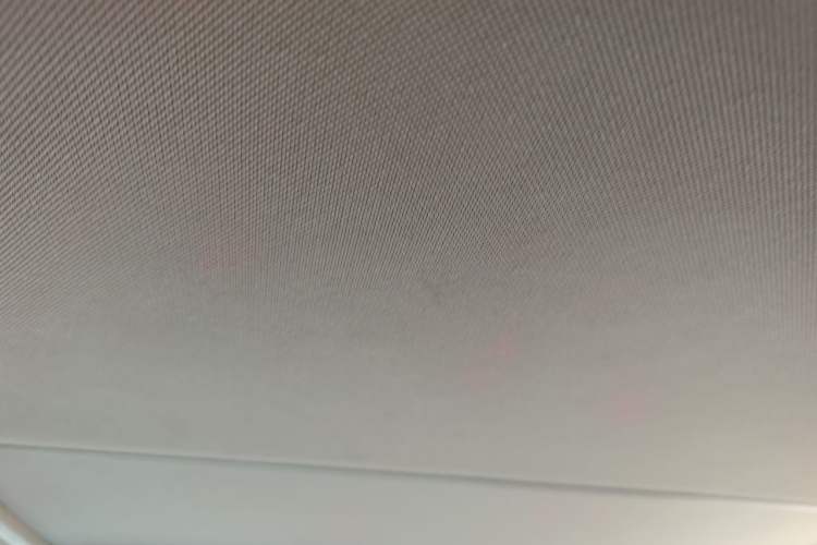 Used Soueast DX3 2016 1.5T CVT Prestige Edition Headliner