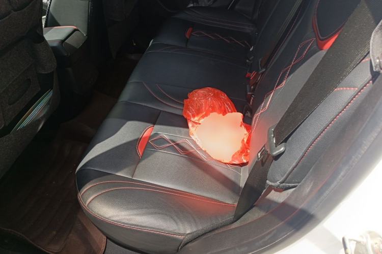 Used Soueast DX3 2016 1.5T CVT Prestige Edition Left Rear Seat