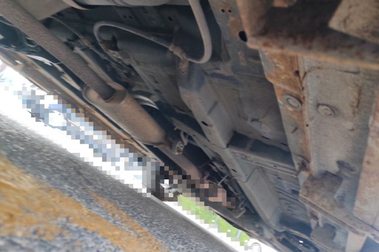 Used Soueast DX3 2018 1.5T CVT Flagship Edition Chassis Rear Right