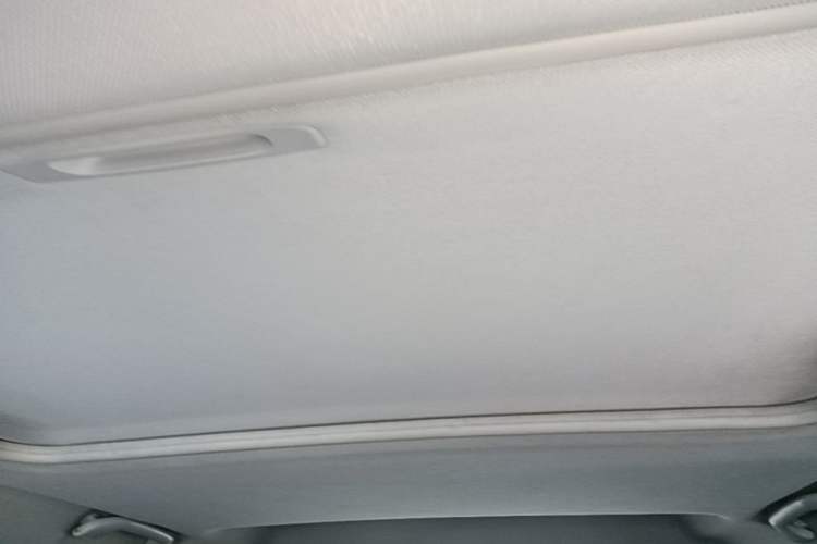 Used Soueast DX5 2019 1.5T Manual Luxury Model Headliner