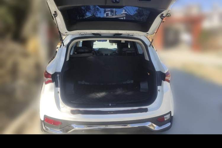 Used Soueast DX5 2019 1.5L Manual Luxury Version Exterior 5